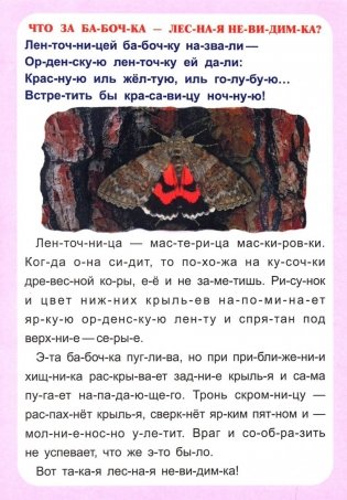 Слогочиталка. Секреты природы. Рассказы о букашках фото книги 3