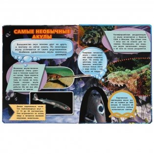 Акулы. Энциклопедия для детей фото книги 3