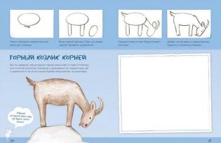 Рисуем животных России фото книги 7