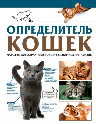 Определитель кошек. Физические характеристики и особенности породы фото книги