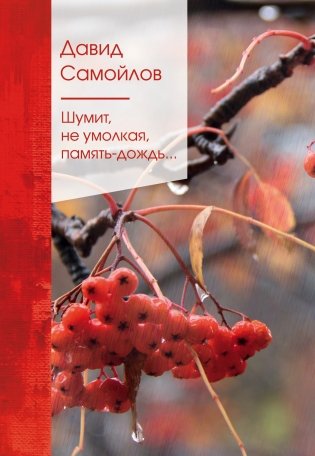 Шумит, не умолкая, память-дождь... фото книги