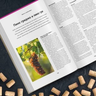 Просто о лучших винах. Новая энциклопедия. Издание 2-е, дополненное фото книги 5