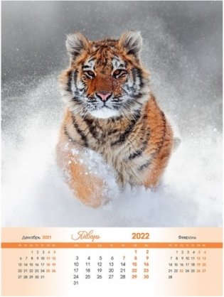 Тигры. Календарь настенный на 2022 год фото книги 5
