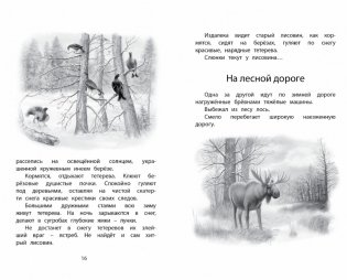 Год в лесу фото книги 3
