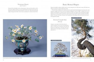 Bonsai master class фото книги 6