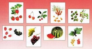 Ягоды садовые. Наглядно-дидактическое пособие. ФГОС фото книги 3