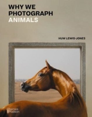 Why we photograph animals фото книги