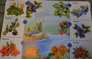 Школа малыша "Фрукты. Овощи. Ягоды" фото книги 4