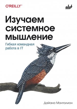 Изучаем системное мышление. Гибкая командная работа в IT фото книги