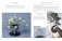 Bonsai master class фото книги маленькое 7