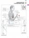 Анатомия силовых упражнений для мужчин и женщин фото книги маленькое 9