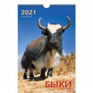 Календарь настенный перекидной на 2021 год "Символ года. Дизайн 1" фото книги