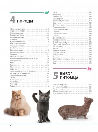 Кошки. Самая полная иллюстрированная энциклопедия фото книги 3