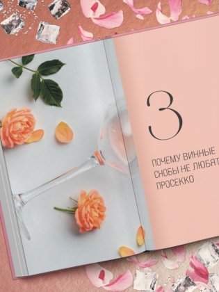 Просекко. Вино с игристым настроением фото книги 6