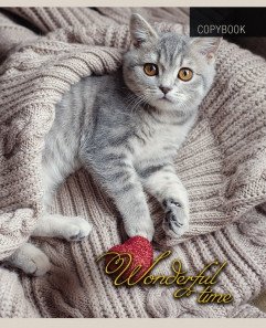 Тетрадь "Котята и пледы", А5, 48 листов, клетка фото книги 4