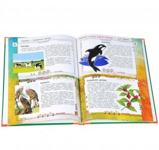 Большой энциклопедический словарь живой природы для детей фото книги 3