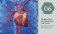 Анатомия человека. Визуальный гид по всем системам организма: норма и патологии фото книги маленькое 6