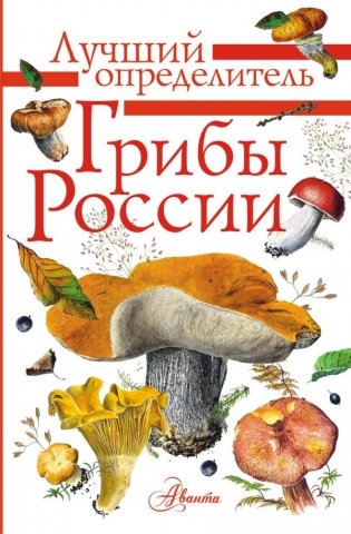 Грибы России фото книги