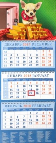 Календарь квартальный на 2018 год "Год собаки. Щенок чихуахуа с золотом" фото книги
