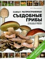 Самые распространенные съедобные грибы фото книги
