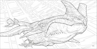 Avatar colouring book фото книги 7