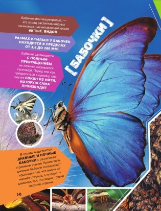 Большая энциклопедия о насекомых. 500 фотографий и фактов фото книги 4
