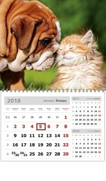 Забавные малыши. Календарь квартальный настенный моноблочный на спирали с ригелем на 2018 год фото книги