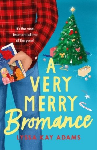 Very merry bromance фото книги