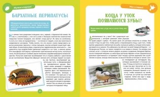 Невероятные животные фото книги 5