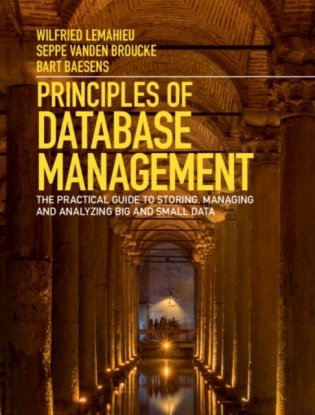 Principles of Database Management фото книги