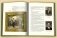 Белая вилла. Мемориальный музей-усадьба Н.А. Ярошенко в Кисловодске фото книги маленькое 5