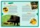 Животные планеты. Интерактивная детская энциклопедия с магнитами фото книги маленькое 6
