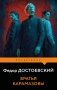 Братья Карамазовы фото книги маленькое 2