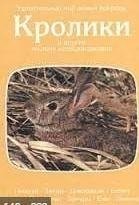 Кролики и другие мелкие млекопитающие фото книги