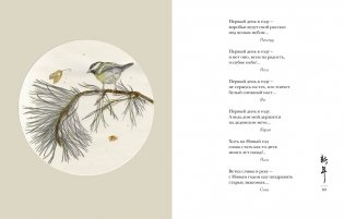 Мир в капле. Комплект из 2-х книг в коробе фото книги 4