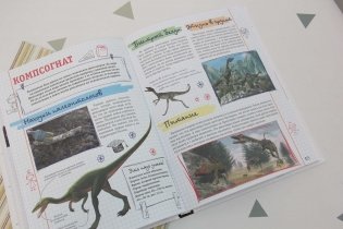 Все, что должны знать образованные мальчики и девочки о динозаврах фото книги 2