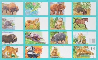 Обучающие карточки "Животные Северной Америки" фото книги 2