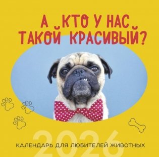А кто у нас такой красивый? Календарь настенный на 2026 год фото книги