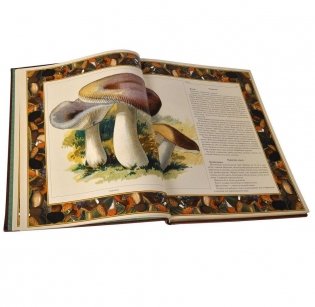 Русский лес: грибы и ягоды (кожаный переплет, золотой обрез) фото книги 4