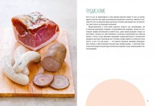 Мясные деликатесы. Закуски, паштеты, колбаски, ветчина фото книги 4