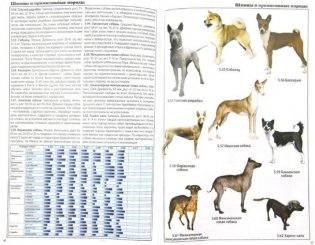 Все о породах собак фото книги 2