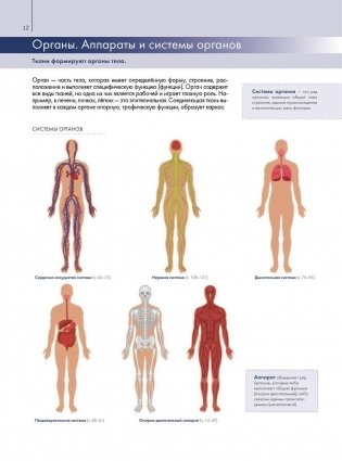 Анатомия человека. Большой популярный атлас фото книги 11