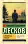Очарованный странник фото книги маленькое 2