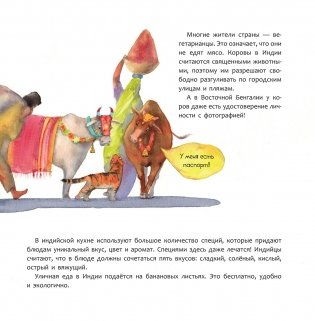 Индия. Страна мудрецов фото книги 6