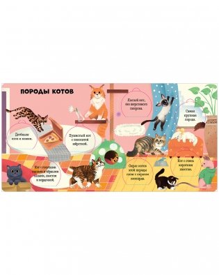 Любимые животные. Энциклопедия с окошками фото книги 3