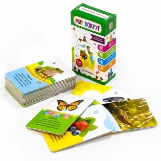 Умные карточки "Мир вокруг", 16 карт фото книги 3