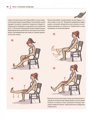 Анатомия йоги простыми словами. Иллюстрированное пособие по упражнениям и асанам фото книги 7