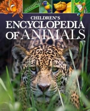Children's Encyclopedia of Animals фото книги