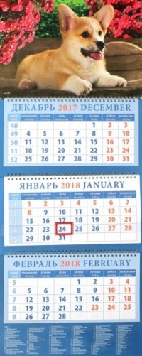 Календарь квартальный на 2018 год "Год собаки. Щенок корги" фото книги