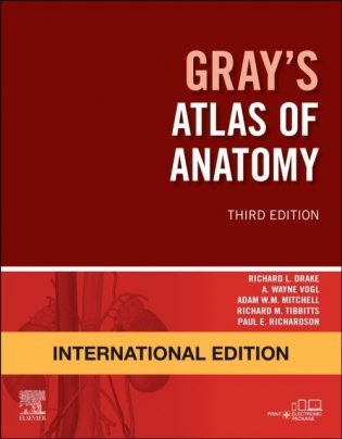 Gray&apos;S Atlas Of Anatomy, International Edition 3 фото книги